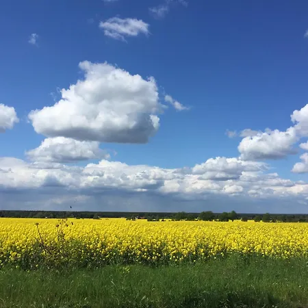 Appartement Rast Am Park *