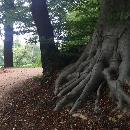Rast Am Park * Bad Muskau
